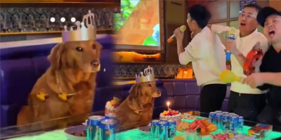 Tổ chức sinh nhật cho cún, nhưng đến quán karaoke chỉ tập trung hát