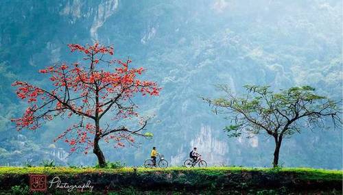 Hình ảnh quê hương: Nhìn vào Hình ảnh quê hương, bạn sẽ thấy được phần nào vẻ đẹp hoang sơ, mộc mạc của quê hương Việt Nam. Các bức ảnh này sẽ đưa bạn đến với những cảnh quan hùng vĩ, những trang trại xanh tươi hay những người dân hòa mình vào với thiên nhiên tuyệt vời.