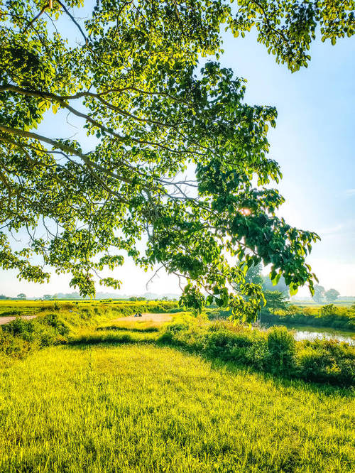 Hình ảnh của những ngôi nhà cổ xưa và rặng cây xanh mát sẽ đưa bạn đến với làng quê Huế yên bình, nơi mà thời gian trôi chầm chậm và gợi lên cảm giác bình yên, giản dị.