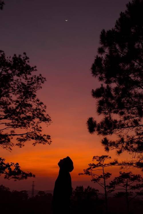 Hoàng hôn Đà Lạt là khoảnh khắc tuyệt đẹp của thiên nhiên, khi mặt trời lặn tạo nên những bức tranh kỳ ảo. Hãy tận hưởng khoảng thời gian yên bình, tâm trí sẽ được thư giãn và hưởng thụ những cảm xúc tuyệt vời nhất.