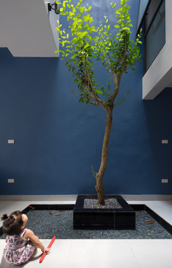 
Cây xanh giúp không gian trong nhà sinh động hơn, bớt vẻ khô cứng