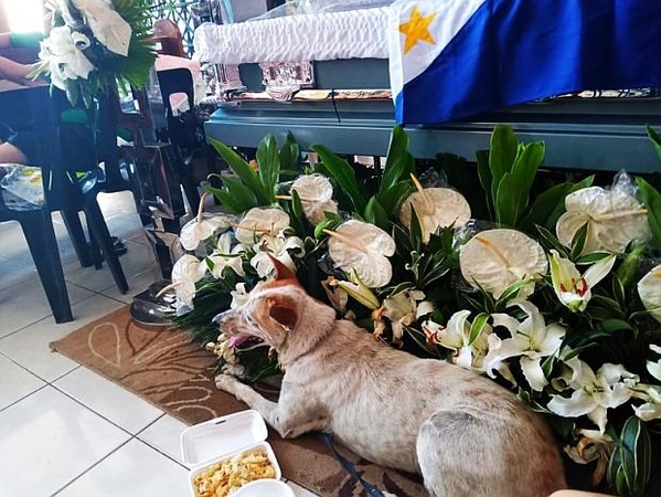  
Chú chó Buboy nằm canh giữ bên cạnh quan tài của thầy giáo già 