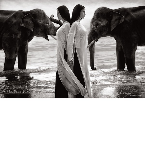  
Sử dụng gam màu trắng đen, phần thể hiện qua ánh mắt của các người đẹp càng tạo được sức hút. Trương Thị May đã có những khoảnh khắc chụp cùng voi đầy cảm xúc. 