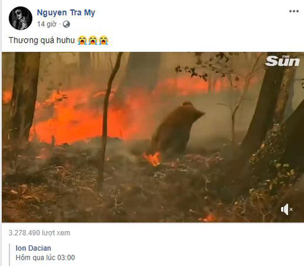 Loạt sao Vbiz lên tiếng về vụ đại thảm họa cháy rừng tại Úc: Trà My Idol, Diễm Trang đều xót thương, Tăng Thanh Hà kêu gọi sự thay đổi - Ảnh 3.