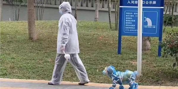  
Một chú chó được chủ bọc kín bằng túi nilong khi đi dạo (Ảnh: WeChat)