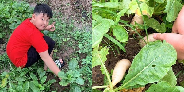 
Trang trại của Lê Phương trồng nhiều rau sạch. (Ảnh: FBNV)