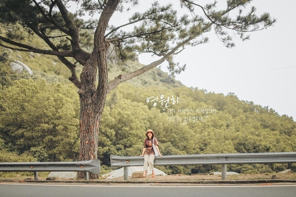  
Không cần đi đâu xa, bạn sẽ có bức ảnh chuẩn Hàn Quốc khi chụp hình với cây cô đơn tại đèo Hải Vân. (Ảnh: Instagram @trungphan)
