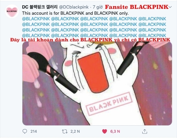  
Fansite BLACKPINK tuyên bố rõ ràng (Ảnh: chụp màn hình).