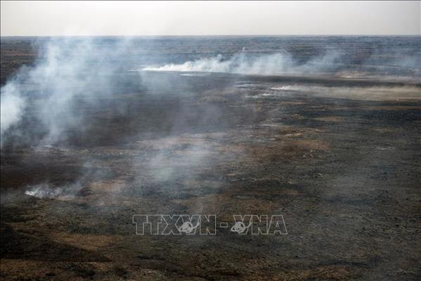  
Khói bốc lên từ đám cháy rừng ở vùng châu thổ sông Parana tại tỉnh Entre Rios, Argentina. (Ảnh: TTXVN)