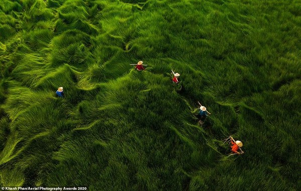 Nhiều ảnh chụp Việt Nam đoạt giải Aerial Photography Awards 2020 - Hình 3