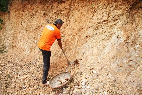  
Muốn có thêm đất ngói để ăn, cụ Biện phải nhờ con ra đồi Vàng để đào.