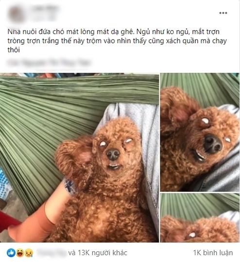 "Boss" với đôi mắt mở trợn trừng ngay cả khi ngủ khiến dân mạng dậy sóng. (Ảnh chụp màn hình)