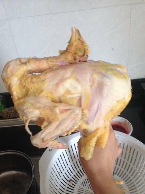 Đây là chú gà được cô vợ vặt lông định làm lễ thắp hương. (Ảnh: Internet)