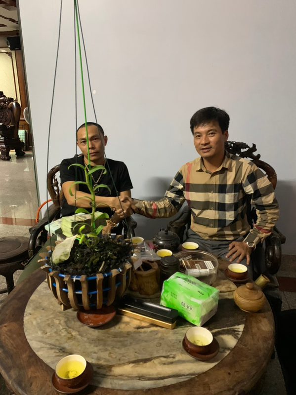 Anh Lưu Quang Hưởng bàn giao giò lan đột biến cho người chơi lan.