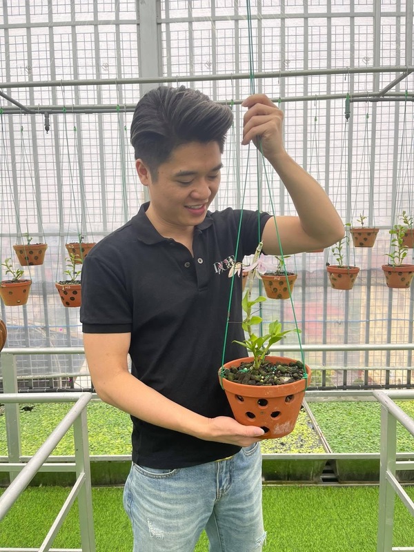  
 Thiếu gia họ Nguyễn khuyên người mới chơi lan nên chọn những loại lan dễ trồng trước khi trồng các loại lan “khó tính” khác.