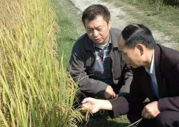  
Con đường trồng lúa hữu cơ mở ra tương lai tốt cho nam diễn viên. (Ảnh: Baidu)