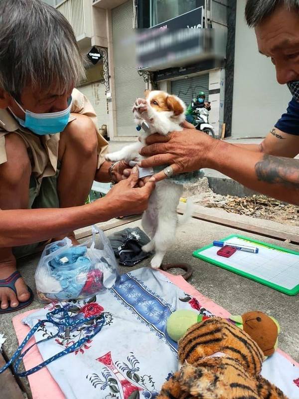 Chú cún nhỏ được ông Sơn chăm sóc vô cùng cẩn thận và chu đáo. (Ảnh: Pet Zone)
Bé cún được cụ ông mặc quần áo cho. (Ảnh: Pet Zone)