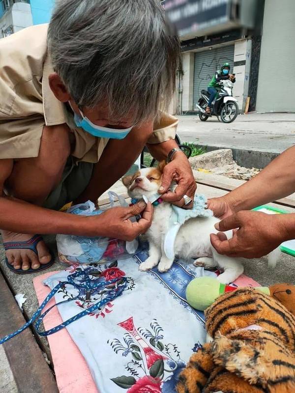 "Công chúa nhỏ" được nhiều người qua đường tặng khá nhiều quần áo. (Ảnh: Pet Zone)
Theo nhiều người, bé cún nhìn rất mệt mỏi. (Ảnh: Pet Zone)