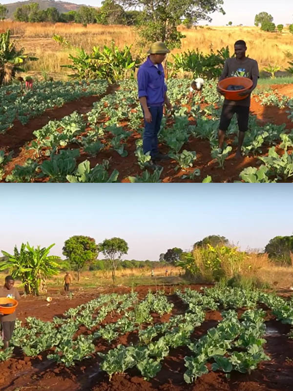 Quang Linh bất ngờ khi thấy cánh đồng rộng như Việt Nam ở châu Phi