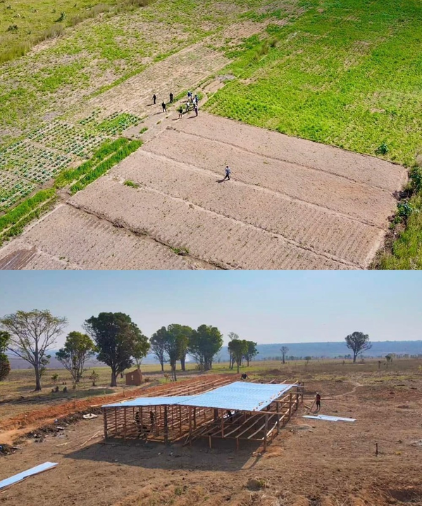 Quang Linh bất ngờ khi thấy cánh đồng rộng như Việt Nam ở châu Phi