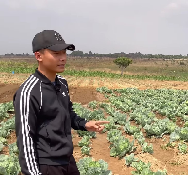  Vì đang vào mùa mưa nên rau củ lên rất tươi tốt, không phải sử dụng nhiều đến máy móc. (Ảnh: Chụp màn hình YouTube Quang Linh Vlogs)