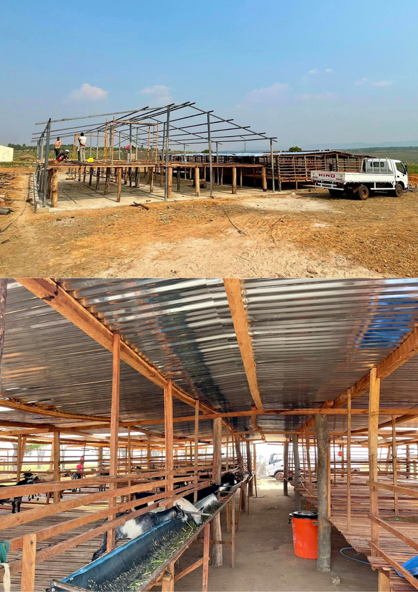  
Phía trước trang trại còn có một khoảng trống lớn để trồng cỏ và cho xe ra vào dễ dàng. (Ảnh: Quang Linh Vlogs)