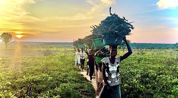  
Khung cảnh trang trại rộng lớn, yên bình khi trời chuẩn bị tắt nắng. (Ảnh: Facebook Tiến Nguyễn)