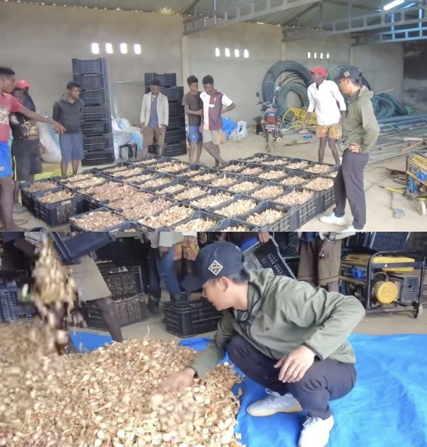  
Quang Linh cẩn thận kiểm tra số hành bị dính nước mưa. (Ảnh: YouTube Quang Linh Vlogs - Cuộc Sống ở Châu Phi)
