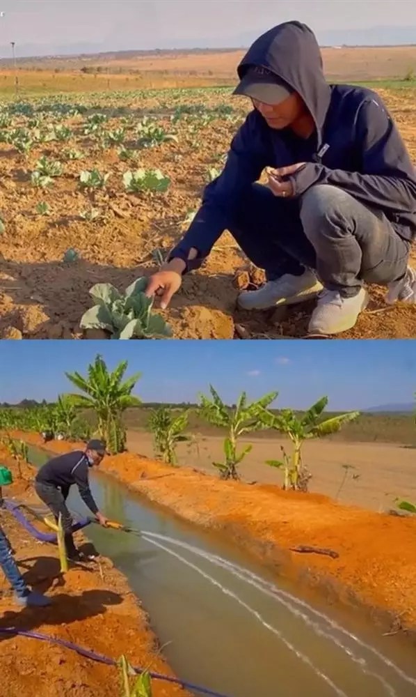  
Quang Linh không ngừng làm việc, cố gắng phát triển trang trại của mình tại châu Phi. (Ảnh: YouTube Quang Linh Vlogs - Cuộc Sống ở Châu Phi)