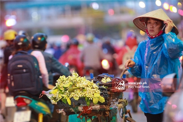
Mùa hoa bưởi đến với người Hà Nội qua những gánh hàng rong.