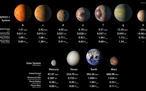 
7 hành tinh thuộc hệ TRAPPIST-1 (hàng trên) và 4 trong số các hành tinh thuộc hệ Mặt Trời gồm sao Thủy, sao Kim, Trái Đất, và sao Hỏa (hàng dưới).
