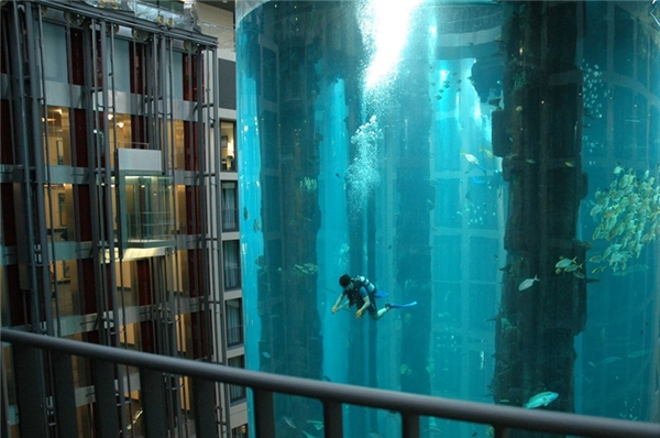 
Bạn không đi lạc vào một bộ phim khoa học viễn tưởng nào cả, đây chính là chiếc bể thủy sinh tại khách sạn Radisson Blu ở Berlin với 1.500 con cá bên trong và một thang máy lồng chính giữa. Người đàn ông bạn nhìn thấy trong ảnh là nhân viên lau dọn bể.