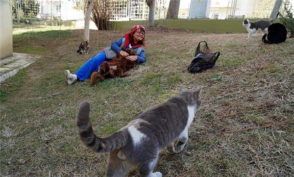 
Cô Sebnem thường xuyên dành thời gian rảnh rỗi tại một trung tâm cứu hộ động vật ở địa phương để chăm sóc những chú chó mèo hoang.
