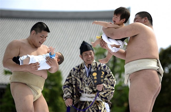 
Các võ sĩ sumo sẽ đấu với nhau để...dọa cho em bé khóc.