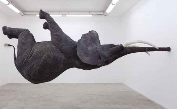
Không phải là hình ảnh lật ngược, đây chính xác là bức tượng chú voi bay ngửa ở Pháp.
 