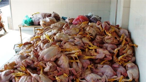 
Hiện tại, những lô thịt nhập khẩu từ Brazil đều được giữ lại cảng để kiểm tra.