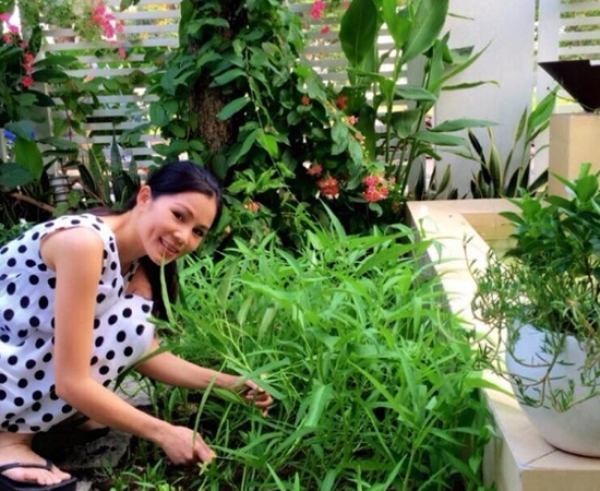 Đã mắt ngắm vườn rau sạch trong biệt thự triệu đô của sao Việt - Tin sao Viet - Tin tuc sao Viet - Scandal sao Viet - Tin tuc cua Sao - Tin cua Sao