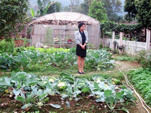 Đã mắt ngắm vườn rau sạch trong biệt thự triệu đô của sao Việt - Tin sao Viet - Tin tuc sao Viet - Scandal sao Viet - Tin tuc cua Sao - Tin cua Sao