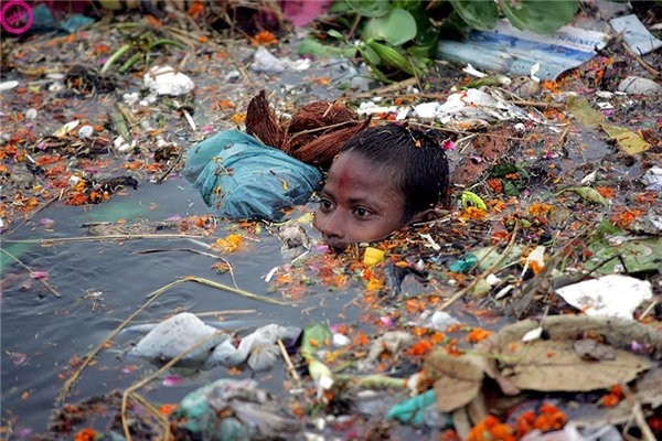 
Bơi trong vùng nước bị ô nhiễm ở Ấn Độ.