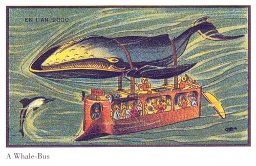 
Thuần hóa luôn cá voi để làm vật kéo xe bus xuyên đại dương.