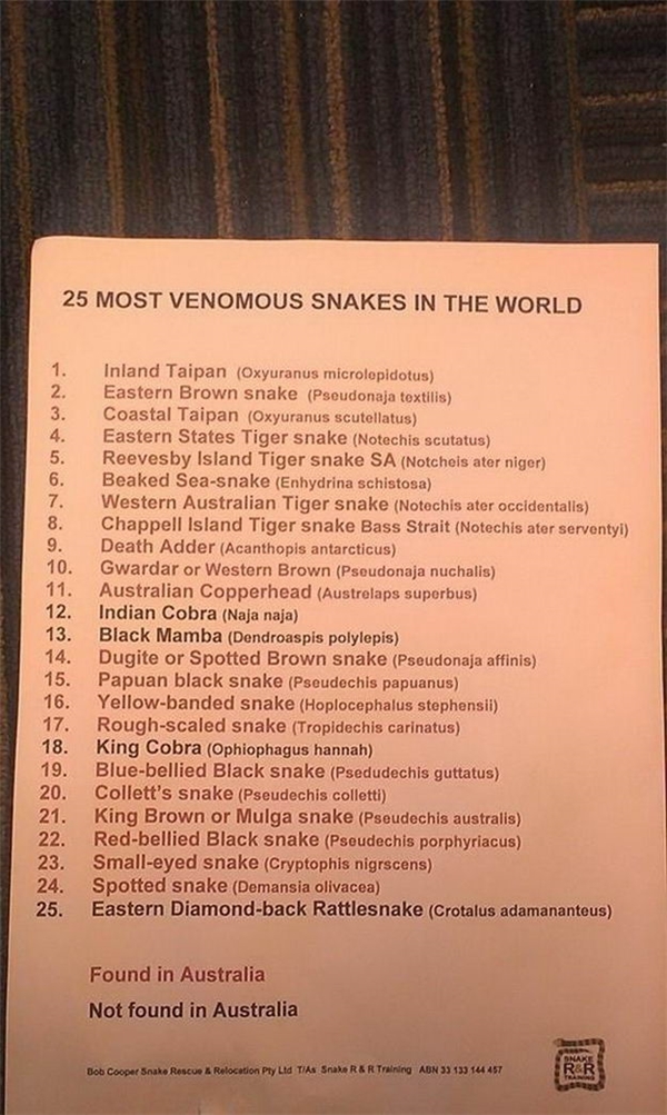 
Đất nước này còn là quê hương của 21 loài rắn cực độc trong tổng số 25 loài khét tiếng nhất thế giới.