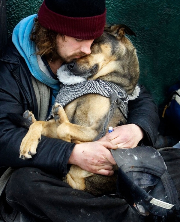 Chó không chê chủ nghèo, đây là một tình cảm rất đáng trân trọng và đáng yêu. Hình ảnh về những chú cún này sẽ khiến bạn cảm thấy ấm lòng và phấn khích. Hãy xem ngay!