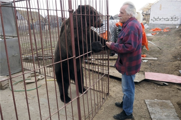 Quá thương cảm với tình trạng lạc lõng của hai chú gấu, ông Pavel Kurya đã có một quyết định bất ngờ.