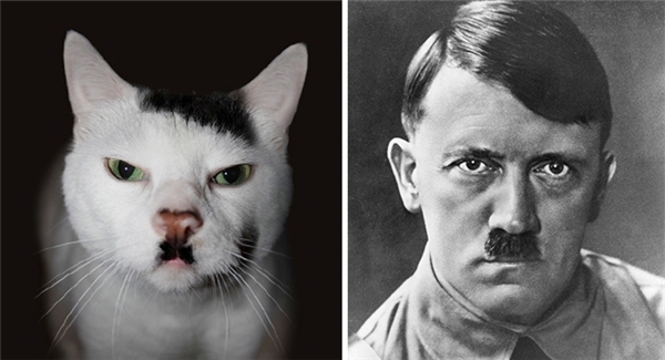 
Adolf Hitler có “truyền nhân” rồi nhé.