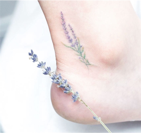 Century Ink  Ý nghĩa hình xăm hoa Oải hương  Lavender  Facebook