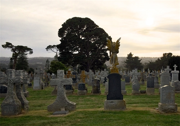 
Một góc nghĩa trang. 