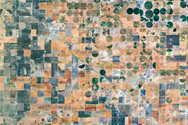 
Những cánh đồng hình tròn lạ mắt ở Famhers – Mỹ. (Ảnh: Google Earth)