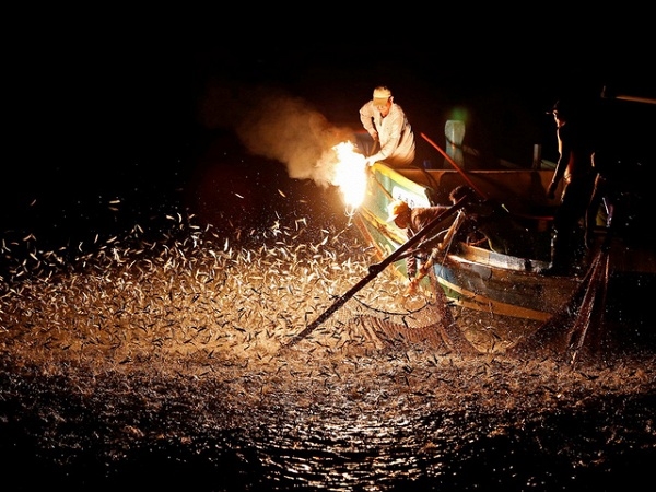 
Ngư dân ở Thành phố Tân Bắc, Đài Loan dùng lửa lưu huỳnh để thu hút cá trong chuyến đánh bắt về đêm.