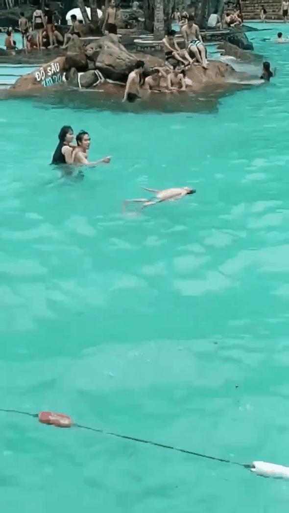 Một cặp đôi nam nữ bơi qua chỗ cậu bé nhưng không nghĩ cậu đang bị đuối nước.