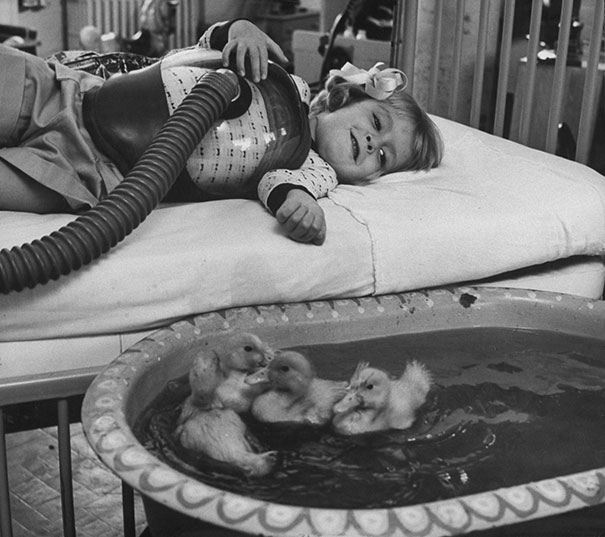 
Động vật được đưa vào sử dụng như một liệu pháp điều trị vào năm 1956.